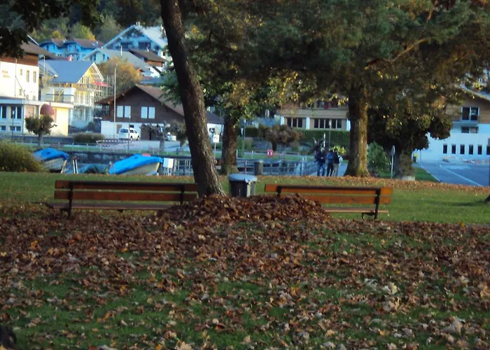 Oberlanderhof 2* Bönigen