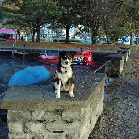 Hotel Oberlanderhof 2*